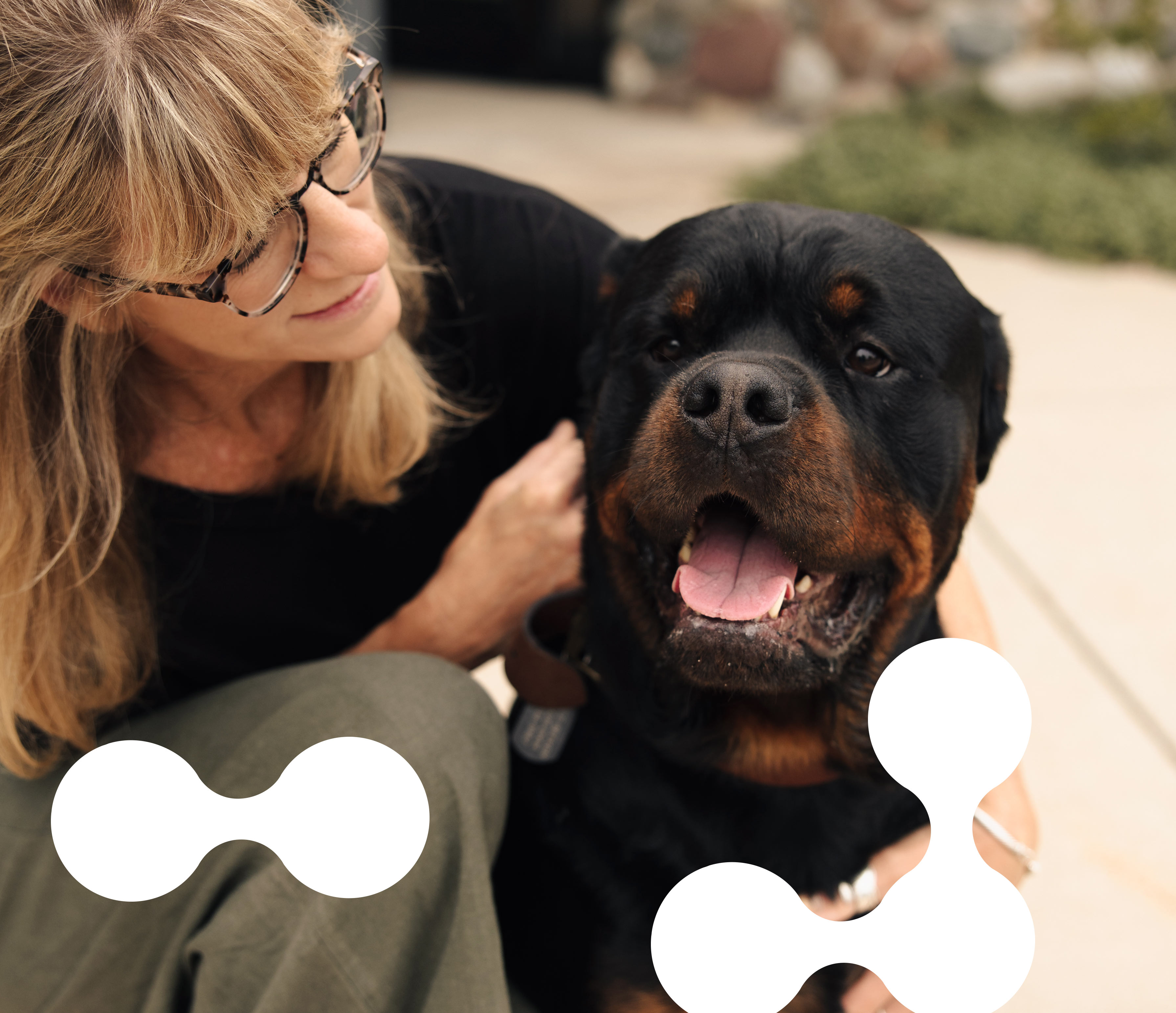 human animal bond picture of women with a dog at a veterinary office