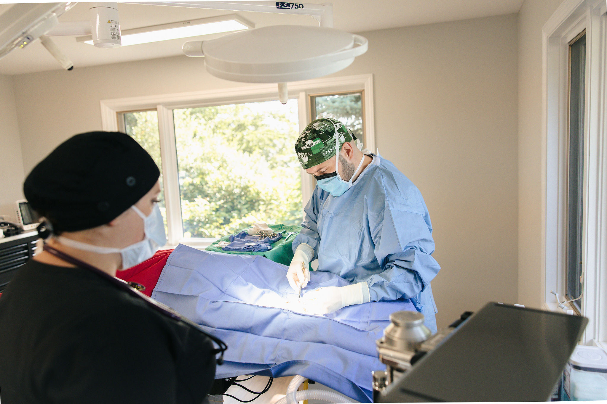Urgent and Emergency Veterinarian in Traverse City, Michigan 