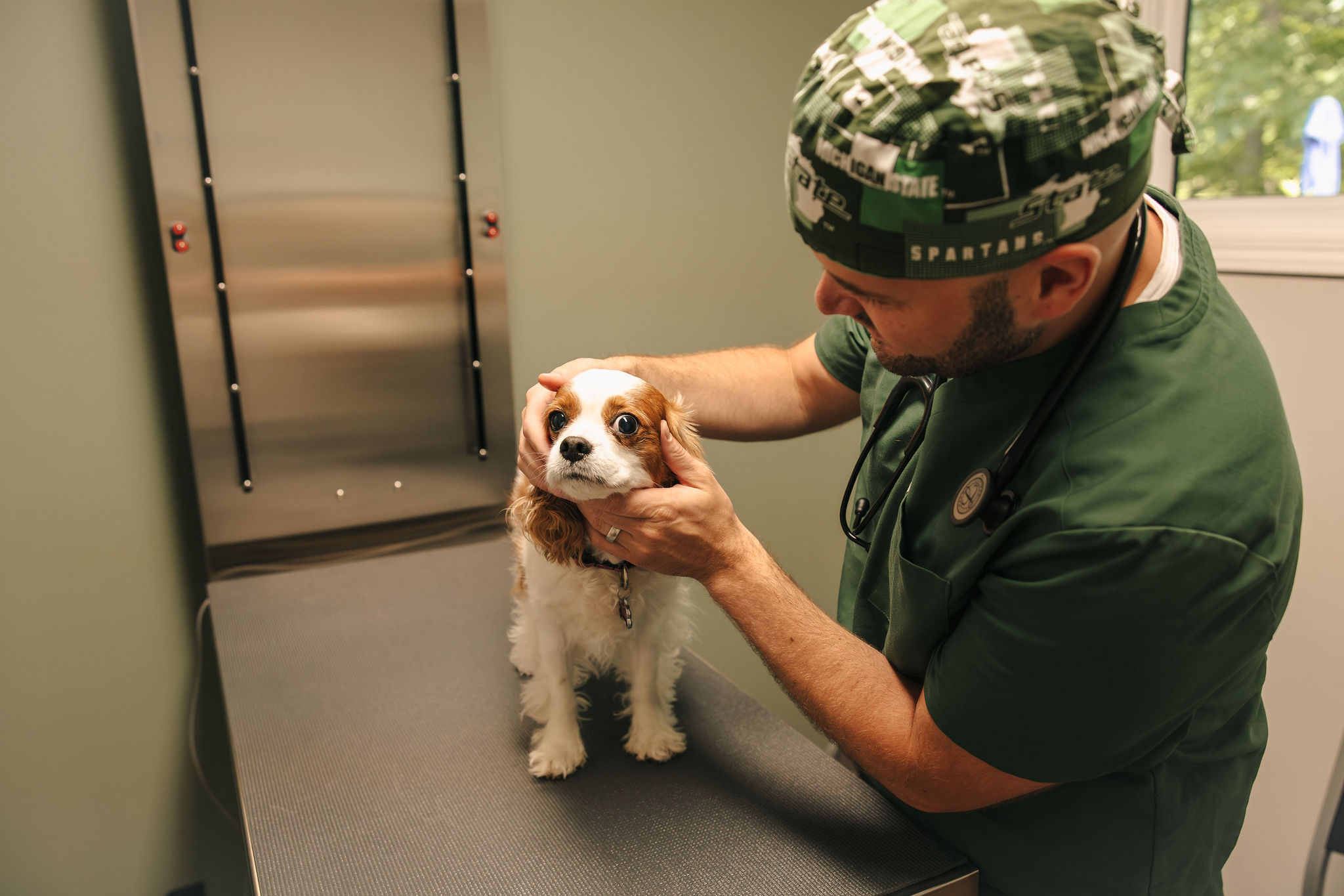 Veterinary Care in Traverse City, Michigan 