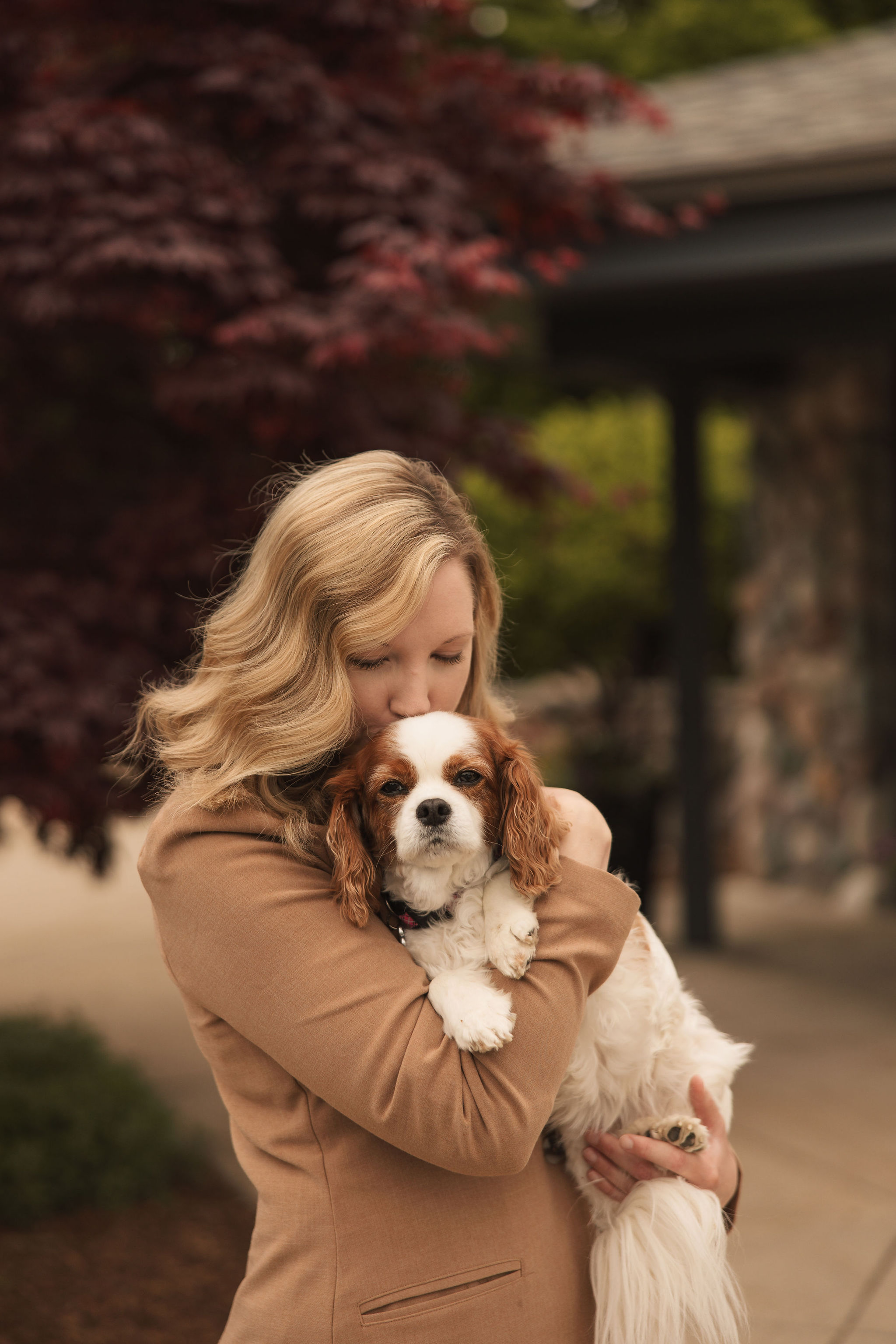 Fall Allergies in Pets 