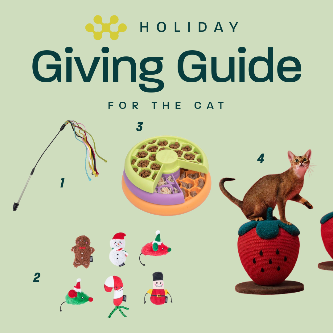 Holiday Giving Guide - For the Cat