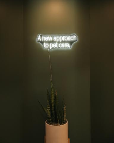 Neon sign reading 'A New Approach to Pet Care' at Omnivet, highlighting our commitment to innovative, compassionate emergency and urgent care for pets in Traverse City.