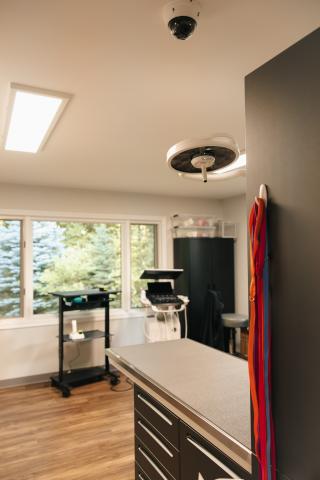 Bright, modern, and state-of-the-art treatment area at Omnivet, equipped with the latest technology to provide exceptional emergency and urgent care for pets in Traverse City.