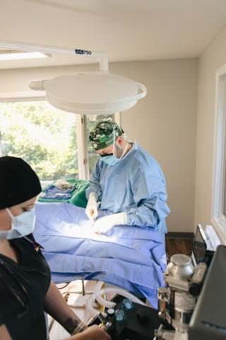 Omnivet veterinarian performing surgery, highly trained in emergency procedures and complex elective surgeries, ensuring expert care for pets in need.