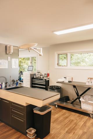 Bright, modern, and state-of-the-art treatment area at Omnivet, equipped with the latest technology to provide exceptional emergency and urgent care for pets in Traverse City.