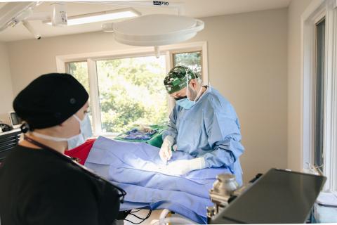 Urgent and Emergency Veterinarian in Traverse City, Michigan